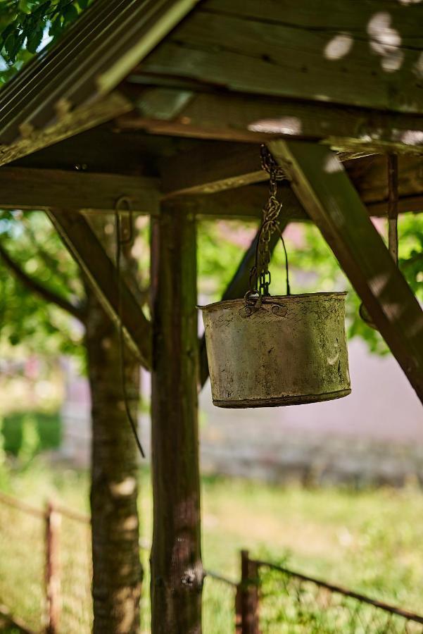 Country House Brijest Pensionat Kolašin Eksteriør billede