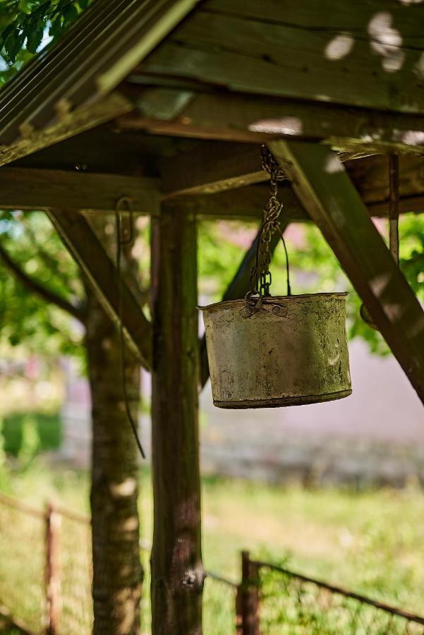Country House Brijest Kolašin Eksteriør billede